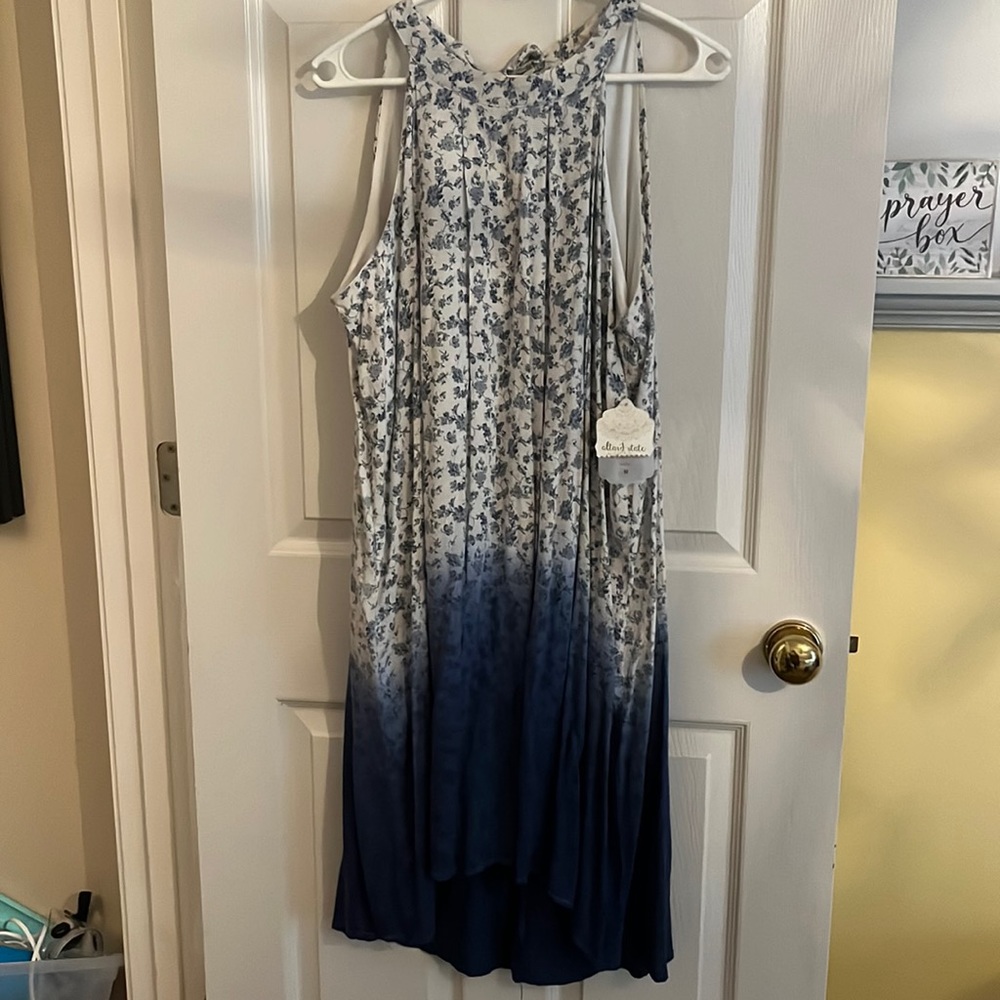 Altar’d State size large blue dress
